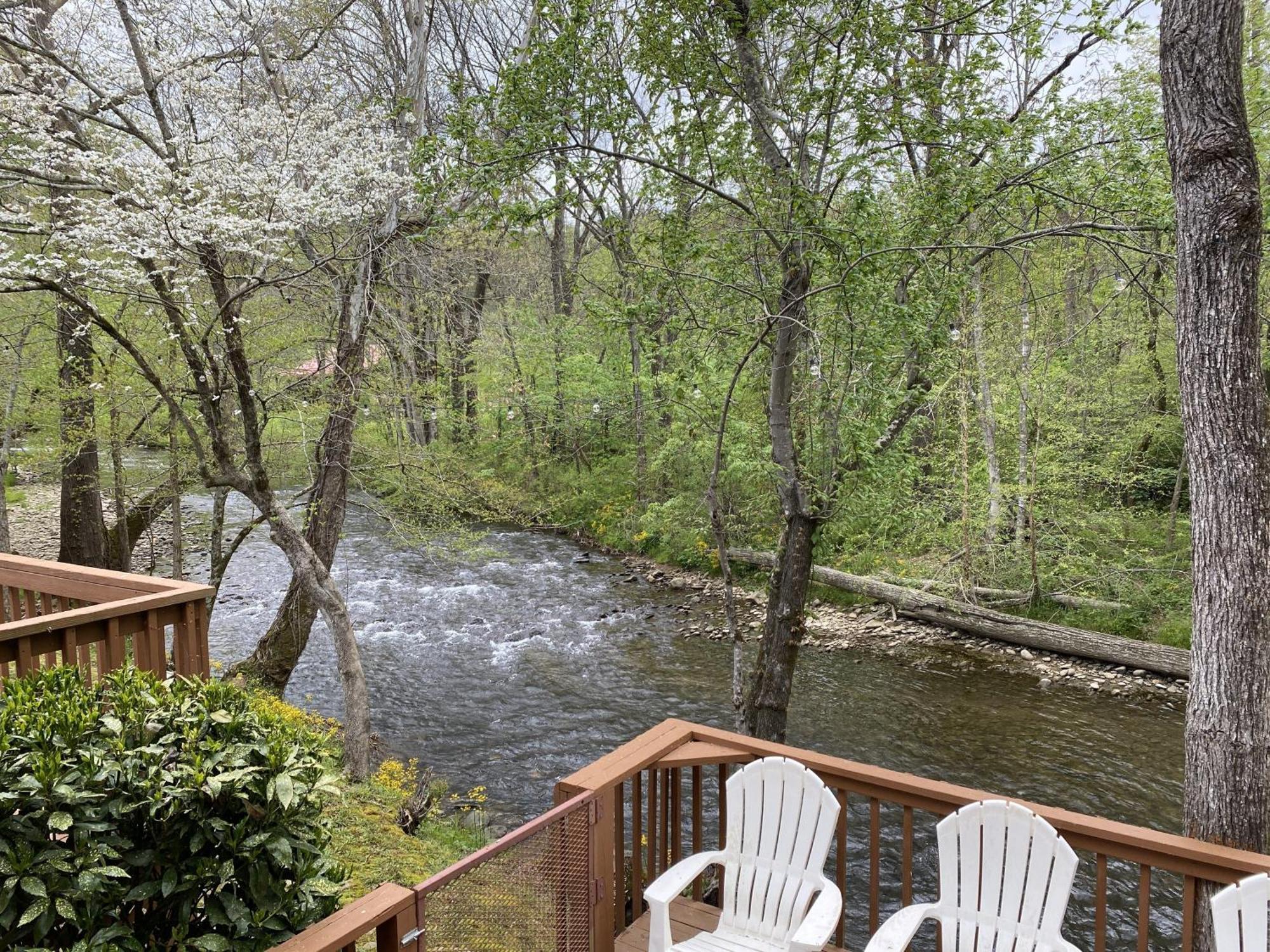 Gray'S Place On Cosby Creek - 2 Bedrooms, 2 Baths, Sleeps 6 Home Ngoại thất bức ảnh